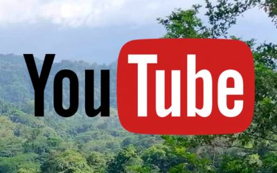 YouTube