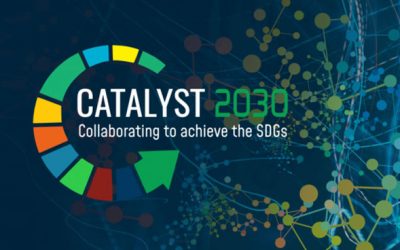 Catalyst 2030