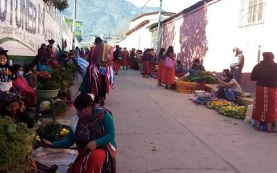 Seeds La nueva economía en Ixil