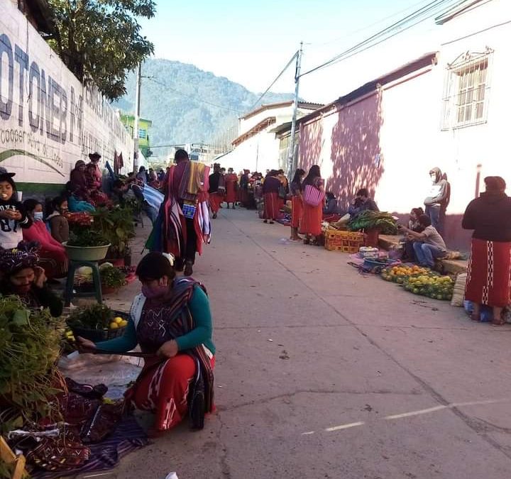 Seeds La nueva economía en Ixil
